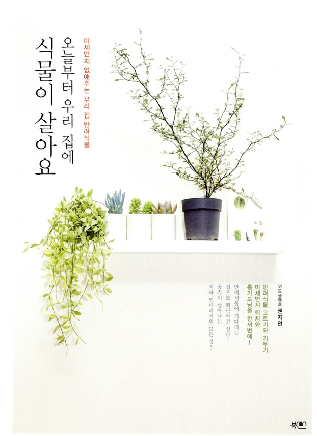 [성내북공방]오늘부터 우리 집에 식물이 살아요 : 미세먼지 없애주는 우리 집 반려식물